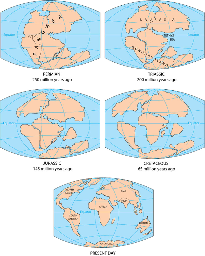 According to the continental drift theory, the supercontinent Pangaea began to break up about 225-200 million years ago, eventually fragmenting into the continents as we know them today. (U.S. Geological Survey)