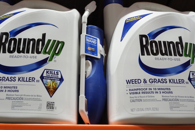 Siliconeer Monsanto Faces First Us Trial Over Roundup Cancer Link Siliconeer