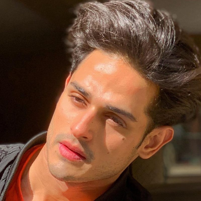 Fascinating! Former Bigg Boss Contestant Priyank Sharma sheds light on his  return to the new season: Says 'No, I don't think so…'
