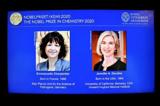 Siliconeer | US-French Duo Win Nobel Chemistry Prize For Gene Editing Tool