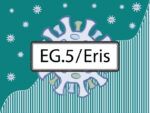EG.5 / Eris in the sign. Coronovirus with spike proteins of a different color symbolizing mutations. New Omicron sub-variant against the background of covid-19 case. (Adobe Stock)
