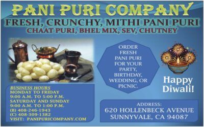 Pani Puri Company 2025